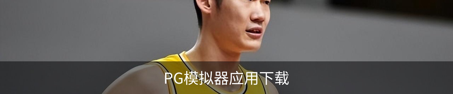 联系PG模拟器